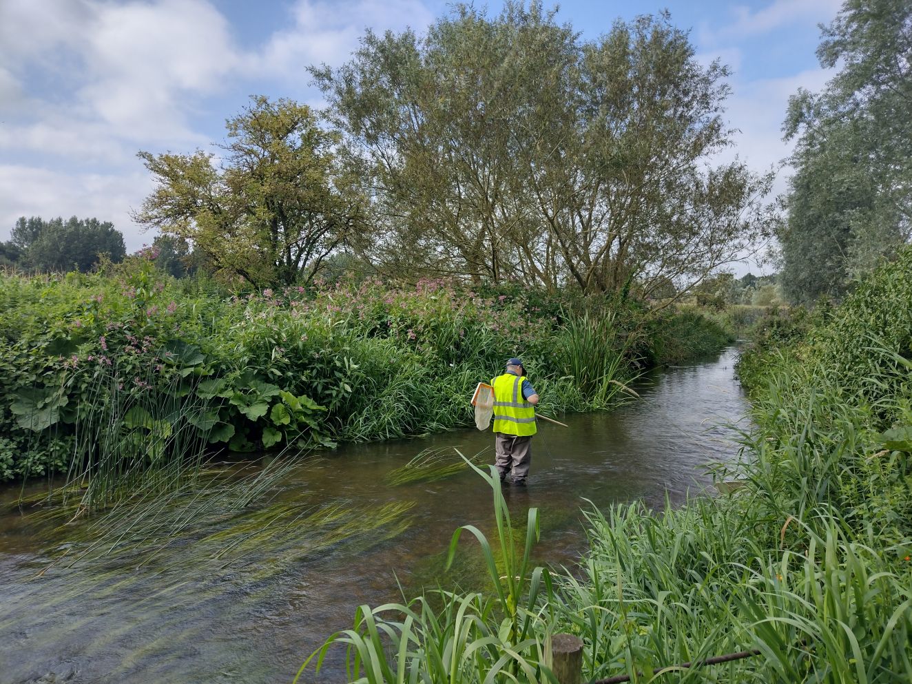 Invertebrate monitoring