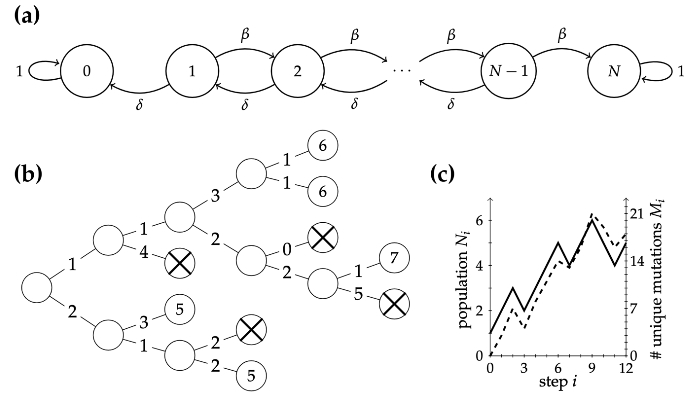 impact example 2 image