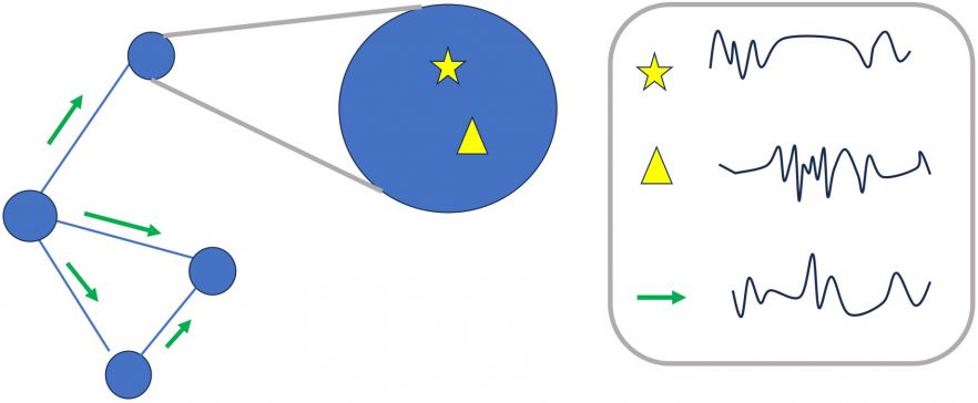 Topological signals in higher-order networks