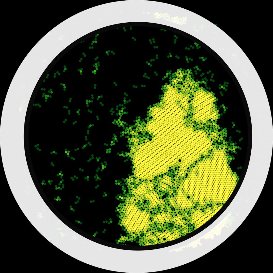 Stochastic modelling of complex systems