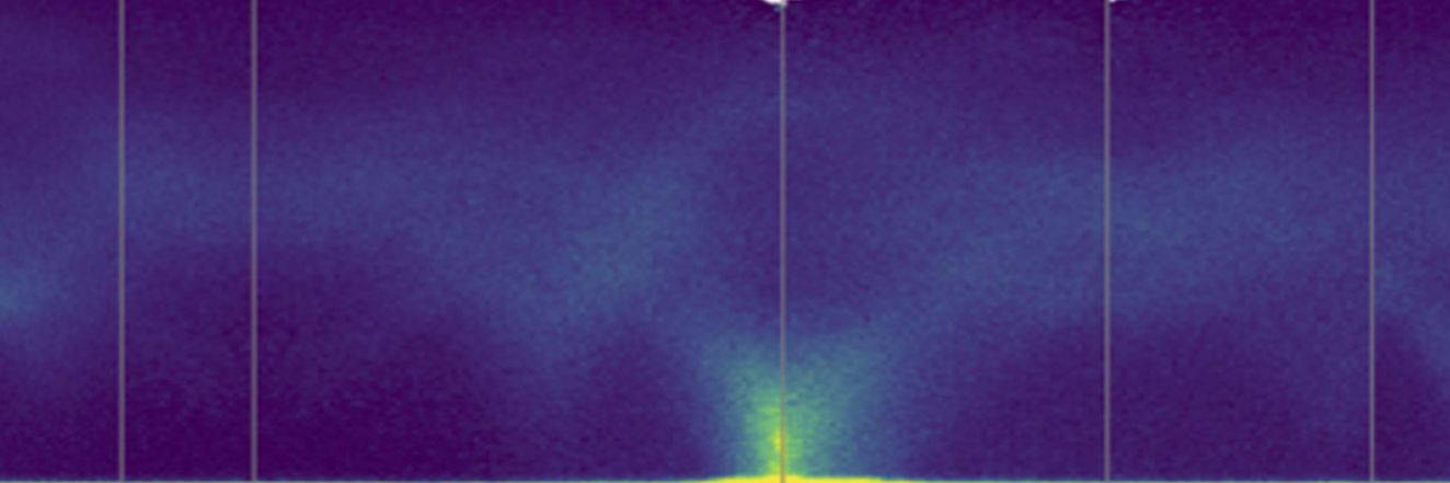 Phonon dispersion of barocaloric adamantan