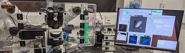 Deltavision