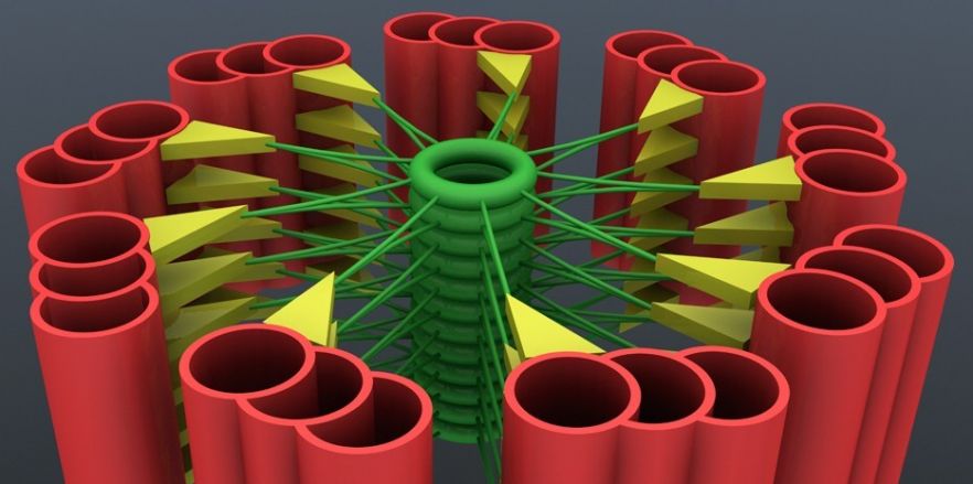 Molecular Mechanisms of Life
