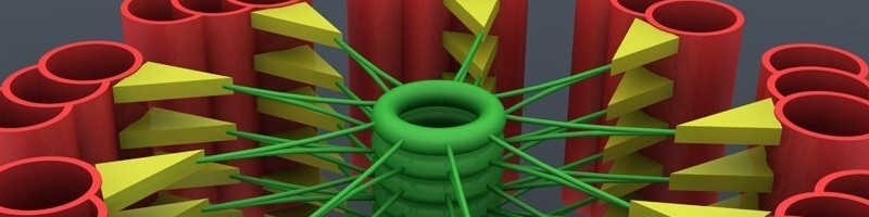 Molecular Mechanisms v6
