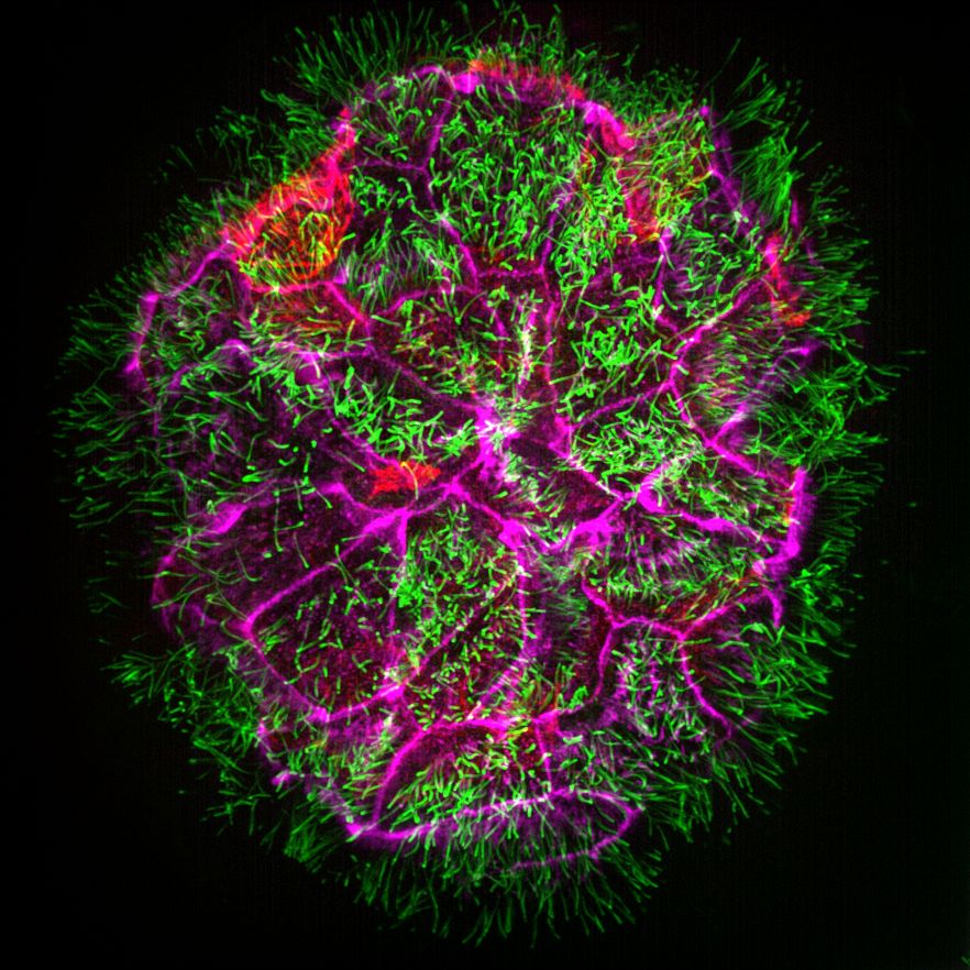 Structural Biology