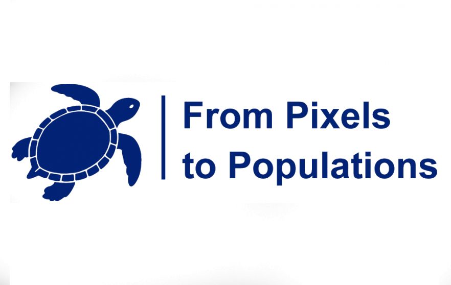 From Pixels to Populations