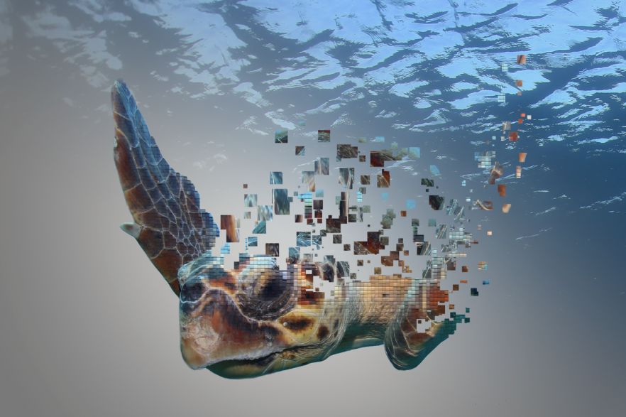 impact example 2 image