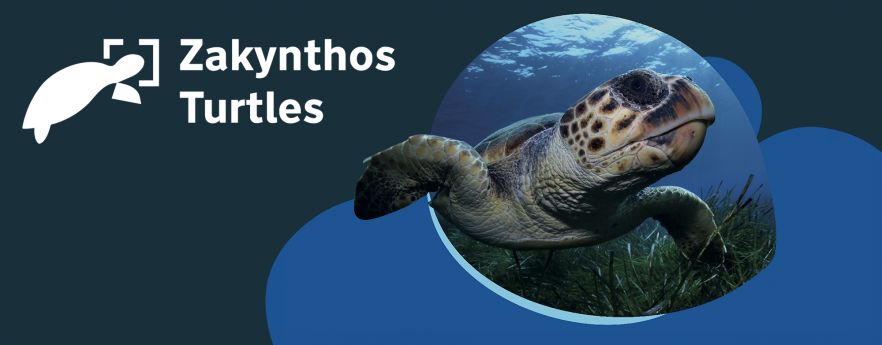 Zakynthos Turtles
