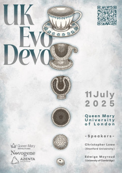 Image: UK EvoDevo poster