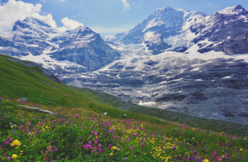 "This engine is grinding to a halt" - Nature slowing down as climate change gains pace