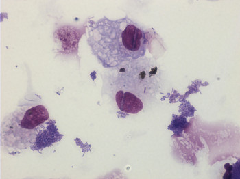 ISPF grant funding for an international and interdisciplinary research project on air pollution dynamics