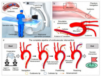Complete pipeline of endovascular intervention using the novel approach for for cooperative navigation of endovascular robotics