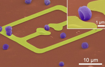 SaeJune Park Leads on Breakthrough in Microplastic Detection using Future Telecommunications Technology THz Sensors