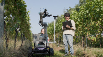 Queen Mary Researchers Pioneer Advanced AI and Robotics to Transform Vineyard Harvests Robotics team testing the robot at the vineyard