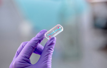 Queen Mary launches world's first masters degree in organ-on-a-chip technology An Emulate chip, one of the organ-on-a-chip varieties