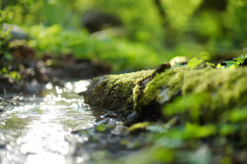 Freshwater methane emissions maximised by global warming