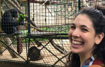Chimpanzees have accents too, study finds