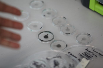 New graphene-powered soft lens could pave the way for smarter glasses, cameras and medical devices