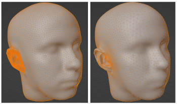 Example of a 3D ear mesh used in spatial-hearing research.