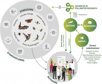 New journal Advances in Pollinator Research launched by Centre for Biodiversity and Sustainability member Rachel Parkinson