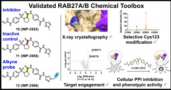 New drug discovery approach opens the door to targeting previously "undruggable" RAB27A/B protein